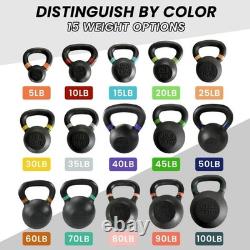 100 lb Cast Iron Kettlebell for Strength Training & Conditioning Workouts