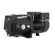 1 Hp Cast Iron Shallow Well Jet Pump For Wells Up To 25 Ft