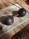 1 Rare Vintage Antique Iron Globe Dumbbell Approximately 50 Lbs