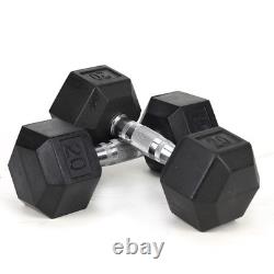 20 Lbs (2 Pieces) Solid Cast Iron Weight Plates Hex Head for Fitness Black