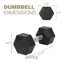 20 Lbs (2 Pieces) Solid Cast Iron Weight Plates Hex Head for Fitness Black