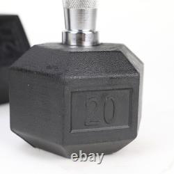 20 Lbs (2 Pieces) Solid Cast Iron Weight Plates Hex Head for Fitness Black