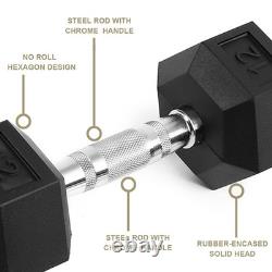 20 Lbs (2 Pieces) Solid Cast Iron Weight Plates Hex Head for Fitness Black