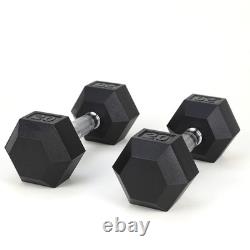 20 Lbs (2 Pieces) Solid Cast Iron Weight Plates Hex Head for Fitness Black