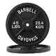 2.5 45lb Standart Classic Cast Iron Weight Plates For Strength Training, 1inch