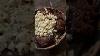 2 5 Pounds Of Burgers And Blue Cheese Cast Iron Skillet Meal Food Diet Lowcarb