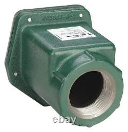 2 FPT Cast Iron Check Valve