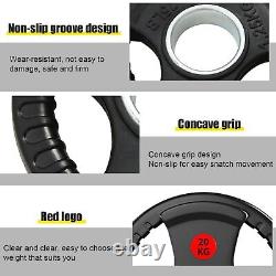 55 lb Cast Iron Olympic Weight Plates Weightlifting Fitness Gym 2 Barbell Plate