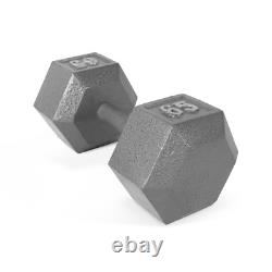 65Lb Cast Iron Hex Dumbbell Single Hand Weight Fitness Training Workout Home Gym