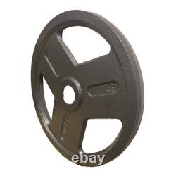 Amber Tri-Grip Weight Plates Durable Cast Iron for Strength Training, Pack of 2