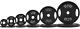 Balancefrom Cast Iron Olympic 2-inch Plate Weight Plate 245 Lbs Set Multiple Pac