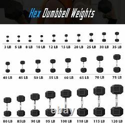 Balelinko Hex Dumbbells Set Rubber Coated Cast Iron Dumbbell in Singles