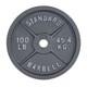 Barbell Gray Olympic Cast Iron Weight Plate, 100 Lb