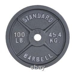 Barbell Gray Olympic Cast Iron Weight Plate, 100 Lb