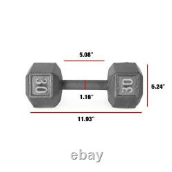 Cast Iron Dumbbell Weights, 30 Lbs, Pair