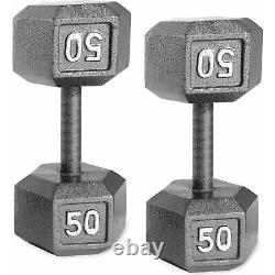Cast Iron Dumbbell Weights Set Home Gym Exercise Equipment 50 Lbs. Pair