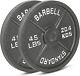 Cast Iron Olympic 2-inch Weight Plates, 2.5 45lb