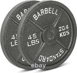 Cast Iron Olympic 2-inch Weight Plates, 2.5 45LB