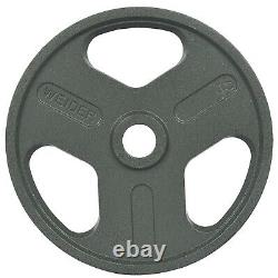Cast Iron Olympic 2-inch Weight Plates, 2.5 45LB, Pair
