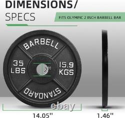 Cast Iron Plate Weight for Strength Training and 35LB (Pair), Standard