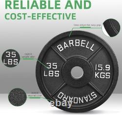 Cast Iron Plate Weight for Strength Training and 35LB (Pair), Standard