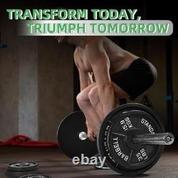 Cast Iron Plate Weight for Strength Training and 35LB (Pair), Standard