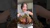 Cast Iron Roasted Leg Of Lamb