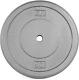 Cast Iron Standard 1-inch Weight Plates Multiple Options
