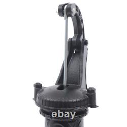 Cast Iron Water Well Hand Pump 26 feet Black Rustic Garden Farmhouse Antique