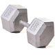 Champion Barbell 100 Lb Solid Hex Dumbbell (sold Individually)