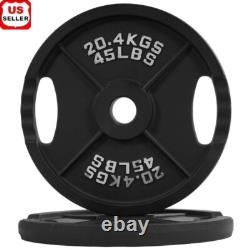 Classic Cast Iron Weight Plates 45 lb Pair Strength Training & Workouts Gym