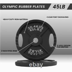 Classic Cast Iron Weight Plates 45 lb Pair Strength Training & Workouts Gym