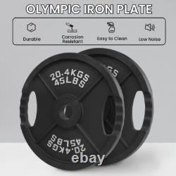 Classic Cast Iron Weight Plates 45 lb Pair Strength Training & Workouts Gym