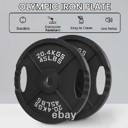 Classic Cast Iron Weight Plates for Strength Training 245LB Pair Weight Plates