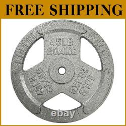 Compact 45 lbs Cast Iron Weight Plate with Anti-Rust Enamel Coating Unisex Use