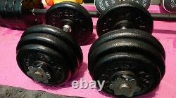 Dumbbells Weights set gym 118 lb dumbell set cast iron for bench press plates