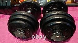 Dumbbells Weights set gym 118 lb dumbell set cast iron for bench press plates