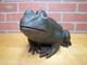 Frog Old Cast Iron Large Doorstop Decorative Yard Garden Art Statue Hd 13+lbs