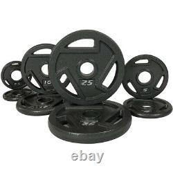 IFAST Weight Plates Cast Iron 2 Olympic Grip Plate Sets 2.5/5/10/25 lb Workouts