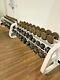 Iron Grip Dumbbell Set 12.5-100lbs Withicarian Rack Mixed Set