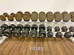 Iron Grip Dumbbell set 12.5-100lbs withIcarian Rack Mixed Set