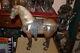 Large Antique Cast Iron Horse Statue Aged Patina Western Decor 33lbs