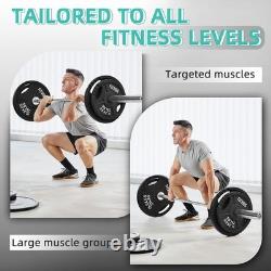 Olympic Cast Iron 255 lbs Weight Plates Set Perfect for Strength Training