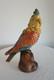 Parrot Cast Iron Doorstop No Markings, 12 1/2 X 7 1/2, 7 Lbs. Albany Foundry