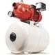 Red Lion Cast Iron Shallow Well Jet Pump With 5.8-gallon Tank, 1/2 Hp, 816 Gph