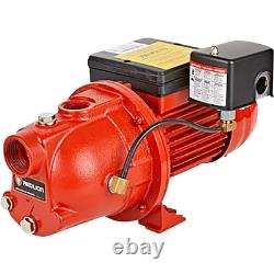 Red Lion Cast Iron Shallow Well Jet Water Pump, 864 GPH, 3/4 HP, 1 1/4in