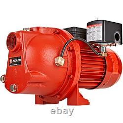 Red Lion Cast Iron Shallow Well Jet Water Pump, 864 GPH, 3/4 HP, 1 1/4in