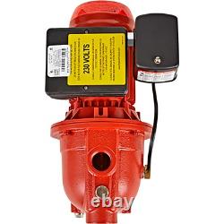 Red Lion Cast Iron Shallow Well Jet Water Pump, 864 GPH, 3/4 HP, 1 1/4in
