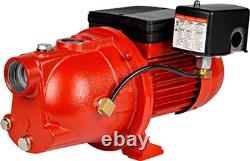 Red Lion Cast Iron Shallow Well Jet Water Pump, 864 GPH, 3/4 HP, 1 1/4in