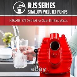 Red Lion RJS-100-PREM 1 HP, 23 GPM, 115/230 Volt, Premium Cast Iron Red, 602208